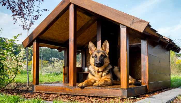 Come scegliere la cuccia del cane da mettere in giardino