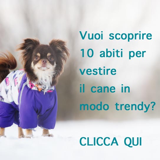 Scoprire 10 abiti per vestire il cane in modo trendy? Clicca qui