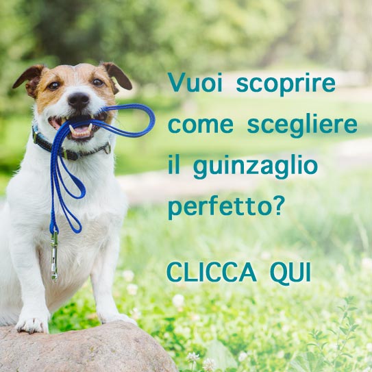 Vuoi scoprire come scegliere il guinzaglio perfetto? clicca qui