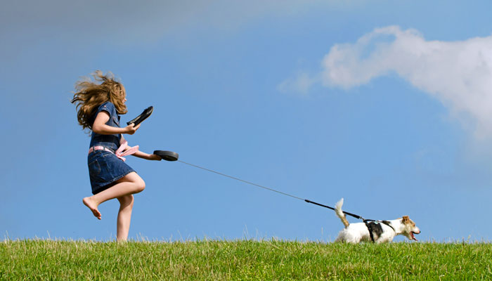 Guinzaglio per cani che tirano