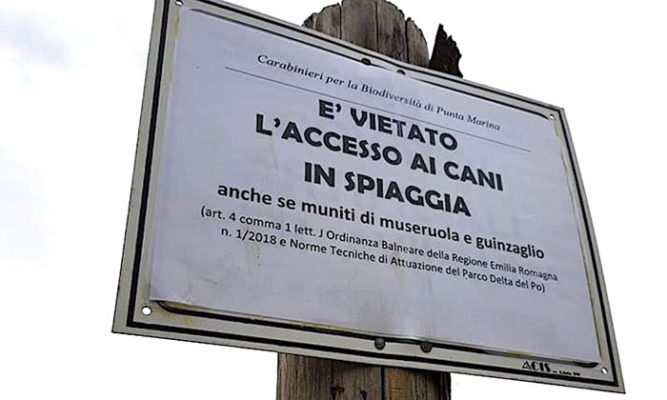 Divieto regolamentare di cani in spiaggia libera