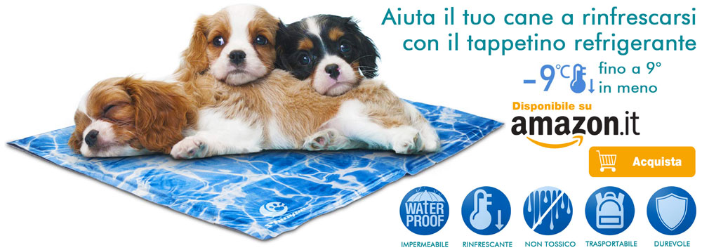 Tappetino refrigerante per prevenzione colpo di calore nel cane