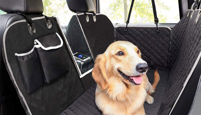 Peli del cane in auto come proteggere gli interni