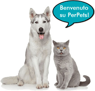 Blog dedicato agli animali domestici PerPets