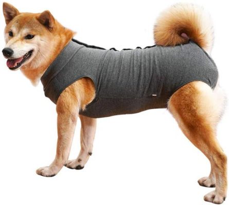 Come evitare che il cane si lecchi le ferite con il vestito di recupero