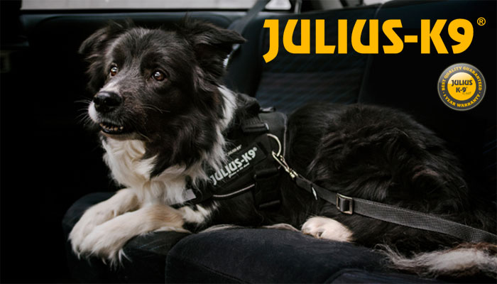 Recensione Julius K9 Pettorina Professionale