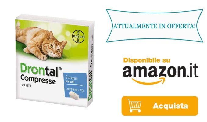 Antiparassitario in compresse per gatto infestato da Tenia