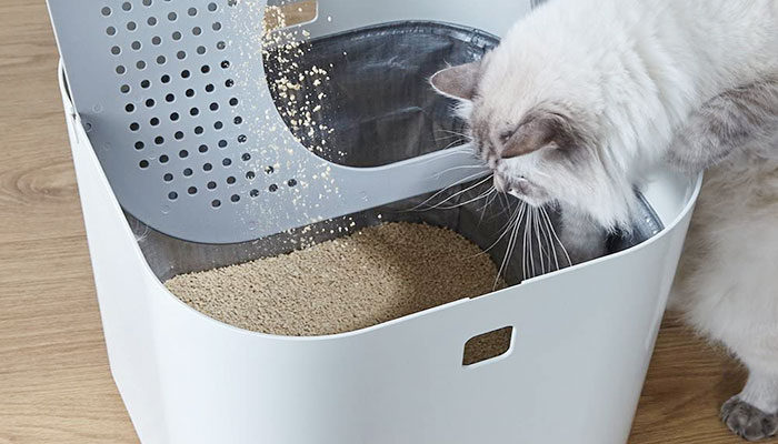 Lettiera gatto verticale per limitare lo sporco in casa