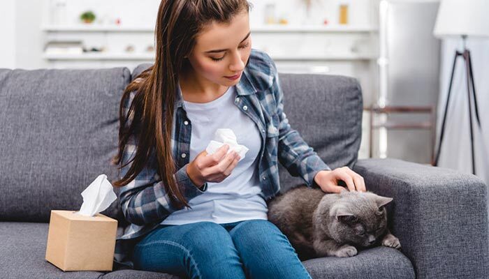 Gatto anallergico: come ridurre l'allergia al pelo del gatto