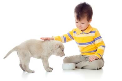 Pet Therapy con il cane per bambini