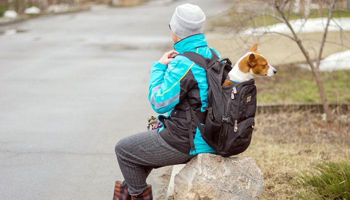 Zaini per cani: i migliori modelli consigliati da acquistare