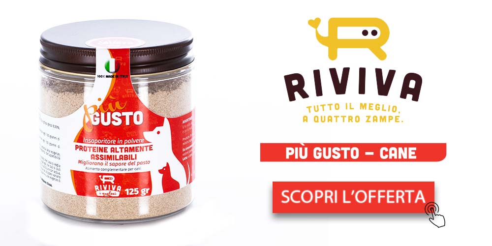 Offerta AMAZON Insaporitore Riviva per cane che non mangia le crocchette