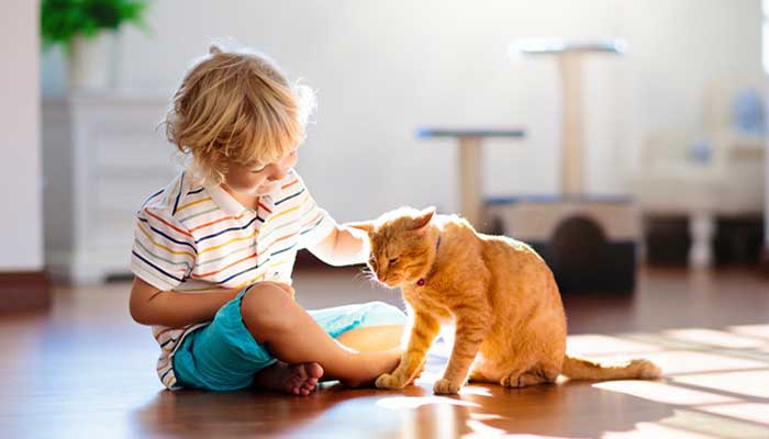 Gatti e bambini: consigli per la convivenza