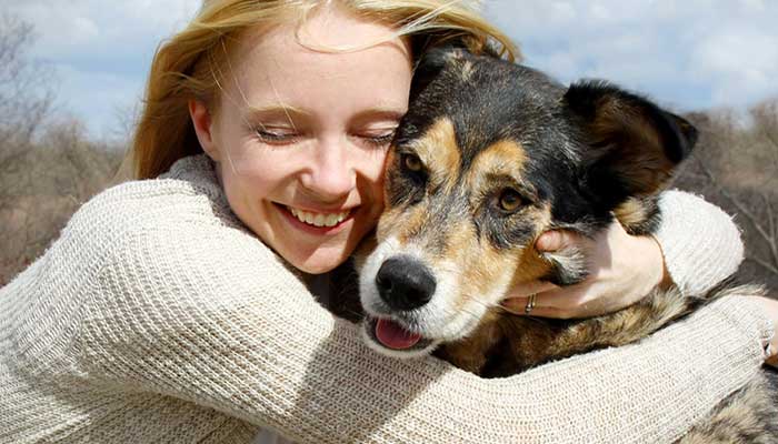 Adottare un cane anziano: perché fare questa scelta