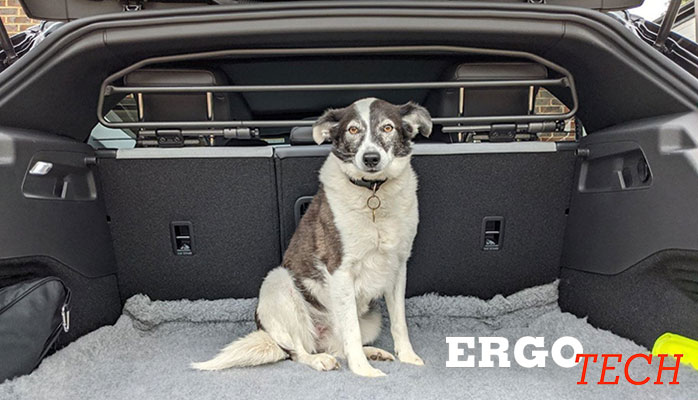 Divisori auto per cani ErgoTech: i migliori a norma di legge