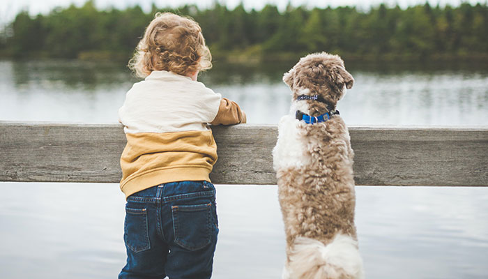 Cani e bambini: consigli per la convivenza