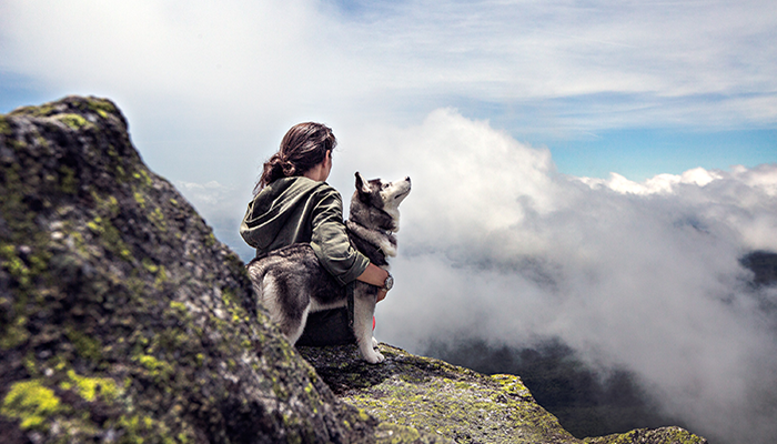 Gita in montagna con il cane