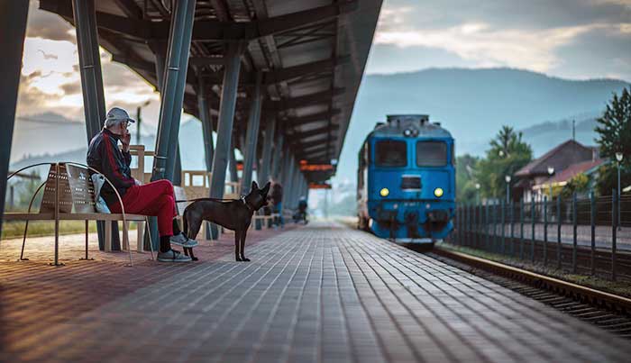 Viaggiare in treno con il cane